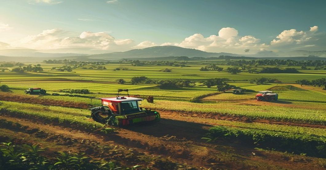 Proyek Food Estate Merauke: Pilar Vital Ketahanan Pangan Nasional
