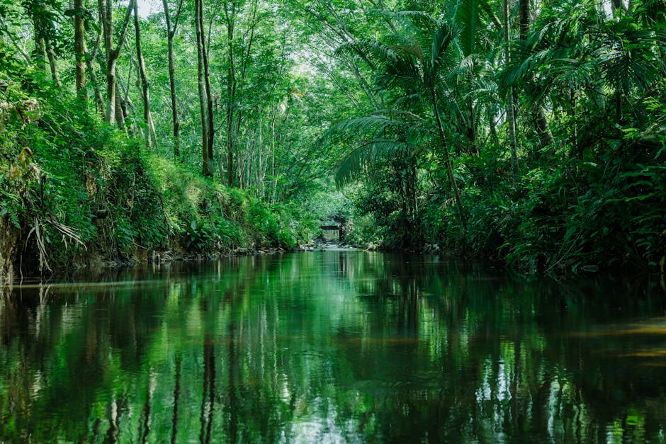 Hujan Turun di Kaltim